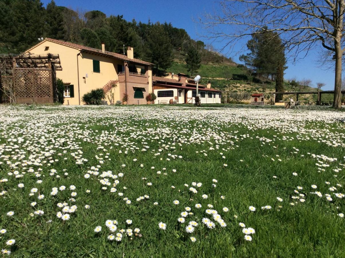 Agriturismo Podere Bucine Basso Lari Zewnętrze zdjęcie