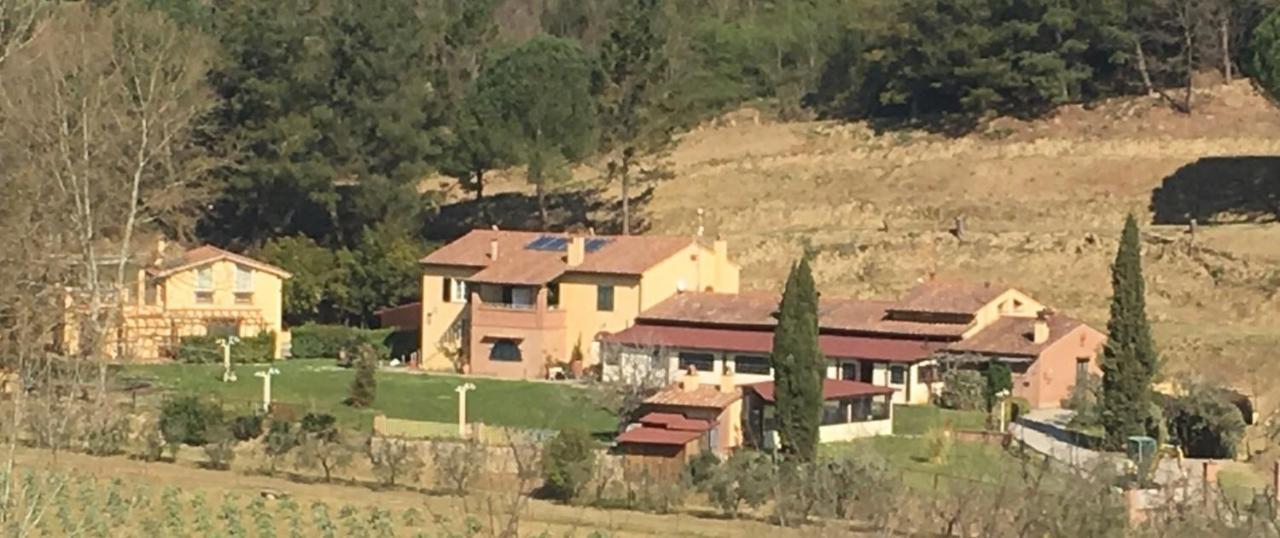 Agriturismo Podere Bucine Basso Lari Zewnętrze zdjęcie